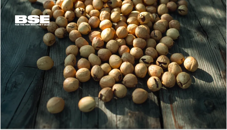 Macadamia & endurance